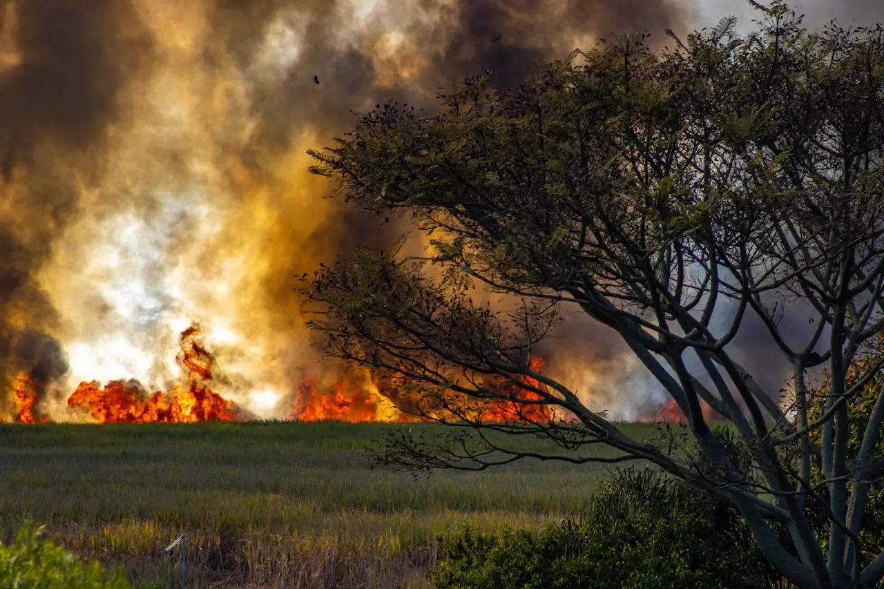 Mystery Fires in Canneto di Caronia Spark Decades of Speculation